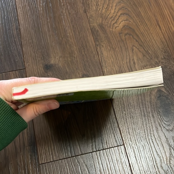 Big Nate Revenge of the Cream Puffs - Picture 9 of 9